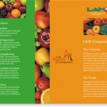 Brochure-L and M