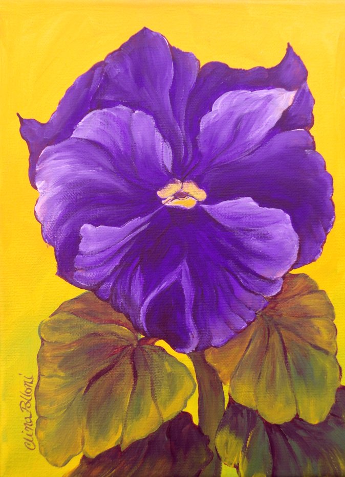 Flower-Purple Pansy
