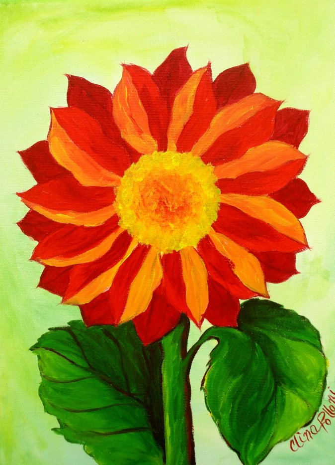 Flower-Red Daisy