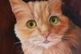 Cat Oil Portraits