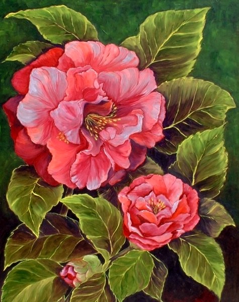 Pink Camellia Painting