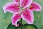 Pink Lily Painting