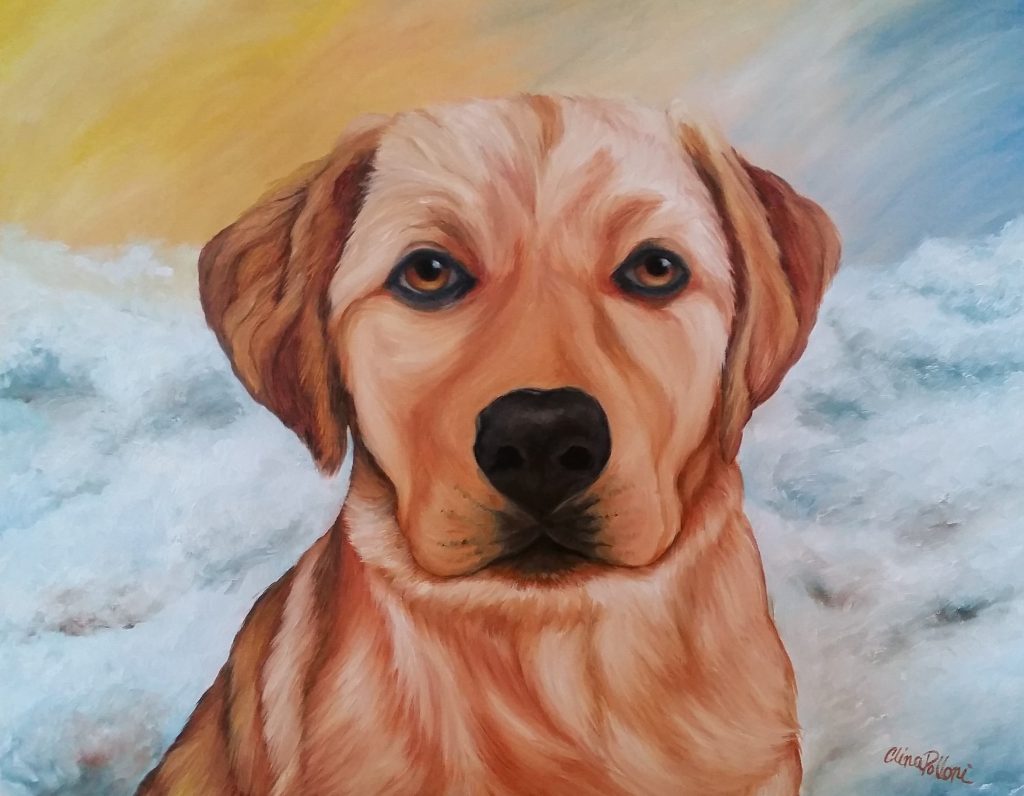 Gold Labrador Retriever Portrait