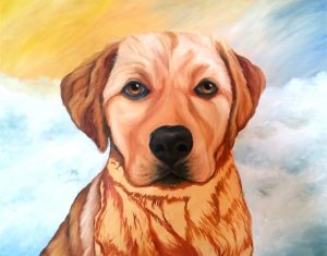 Painting A Gold Labrador Retriever