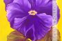 Flower-Purple Pansy Painting