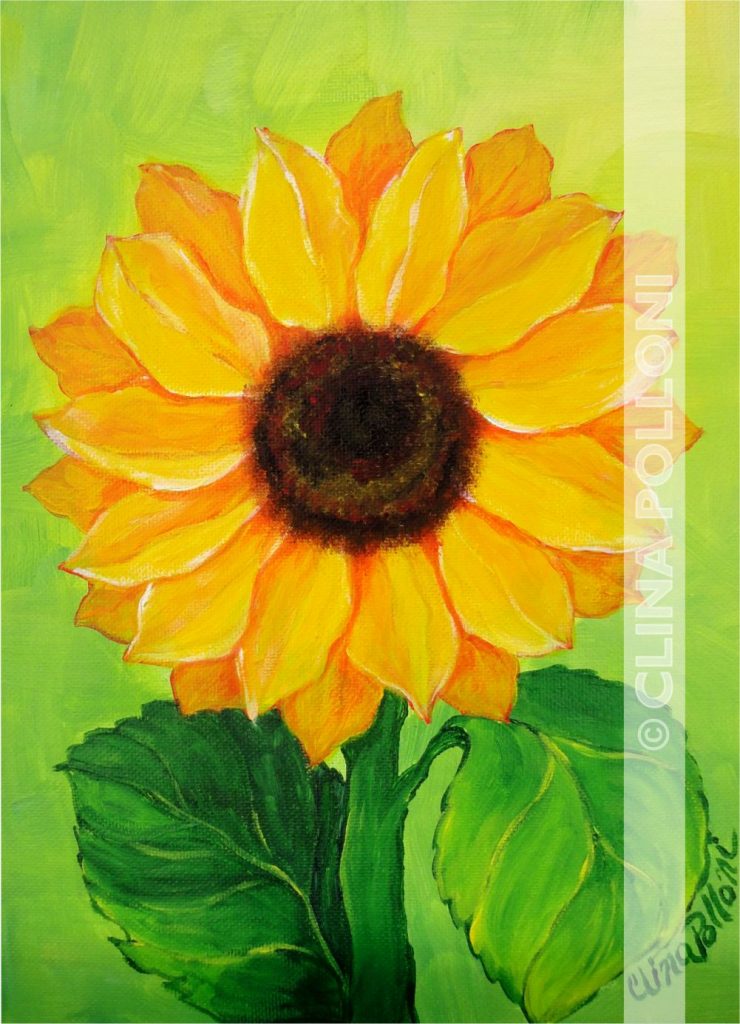 Flower-Sunflower