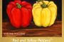Red and Yellow Peppers November 1 to 5 Painting Class.