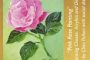 Pink Rose September 7-10 Painting Classes.