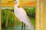 Snowy Egret in the Coastal Marsh NC oil painting by Clina Polloni